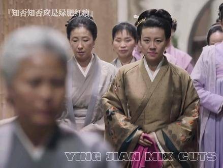 反派大娘子登场,全片紧张氛围瞬间爆棚!知否知否应是绿肥红瘦