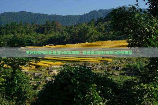 贺州到贵州贵阳自由行旅游攻略：精选景点信息与旅行路线推荐