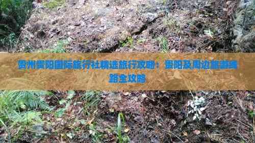 贵州贵阳国际旅行社精选旅行攻略：贵阳及周边旅游线路全攻略