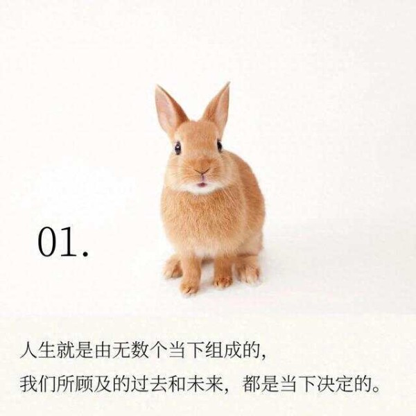 保持快乐的7个秘诀