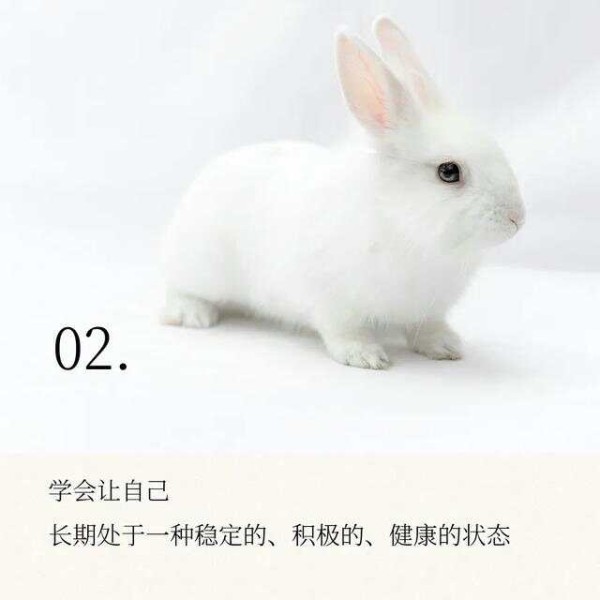 保持快乐的7个秘诀