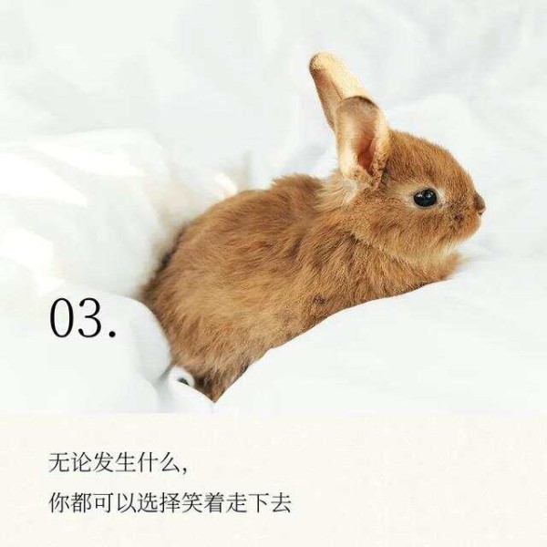 保持快乐的7个秘诀