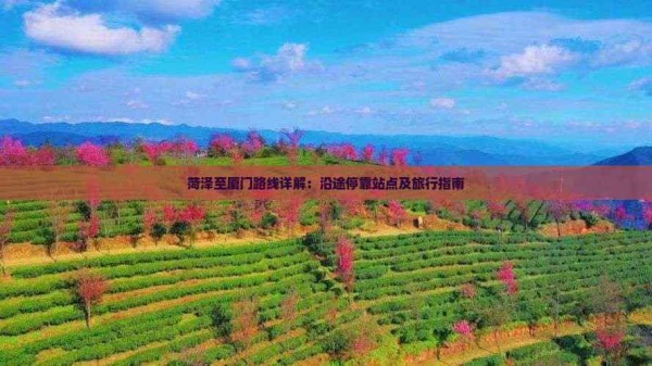 菏泽至厦门路线详解：沿途停靠站点及旅行指南