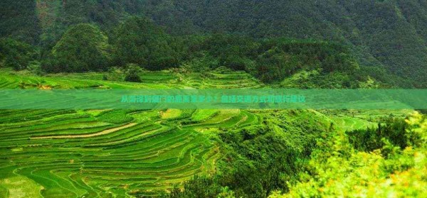 从菏泽到厦门的距离是多少？包括交通方式和旅行建议