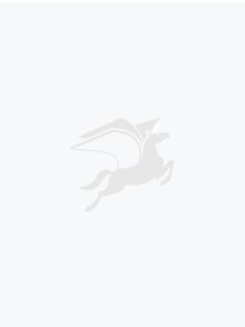 梦幻之小黑