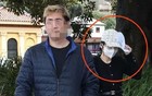 杨兰兰的瓜，让我震撼到了…