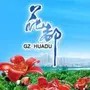 广州花都发布