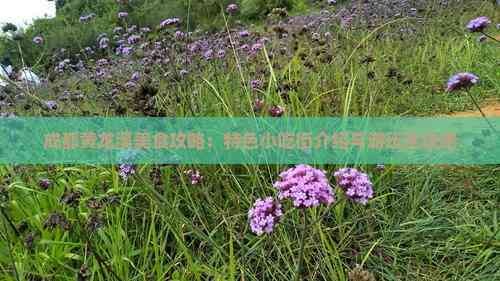 成都黄龙溪美食攻略：特色小吃街介绍与游玩全攻略