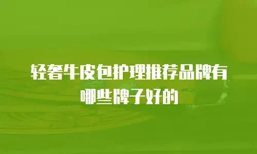 轻奢牛皮包护理推荐品牌有哪些牌子好的