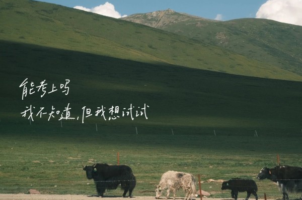 励志电脑桌面壁纸高清全屏 高质量励志文字壁纸推荐