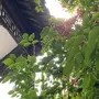 苏E不是运河