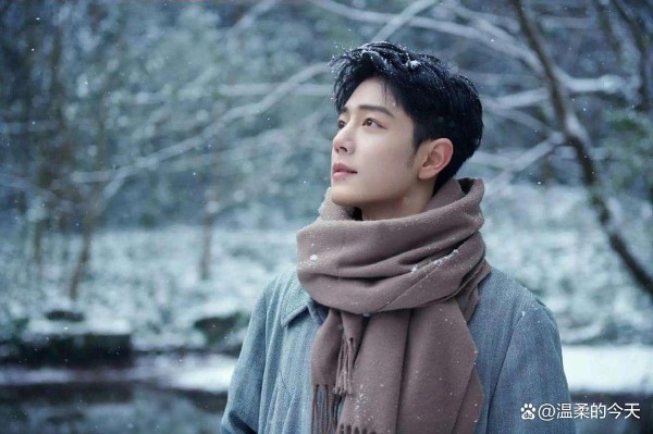 肖战 “媚眼” 一年后被粉丝发现：娱乐传播中的奇妙现象探索