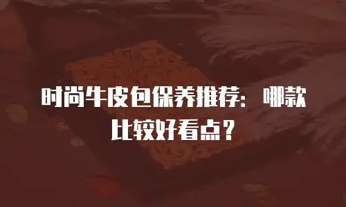 时尚牛皮包保养推荐：哪款比较好看点？