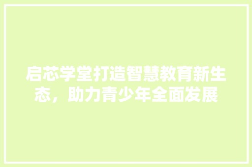 启芯学堂打造智慧教育新生态，助力青少年全面发展 第1张