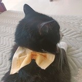 夏至