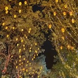 一定爆