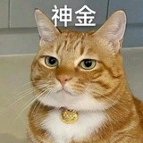 她叫顾小艾