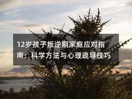 12岁孩子叛逆期家庭应对指南:科学方法与心理疏导技巧