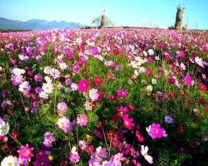 节能低碳环保<a target=