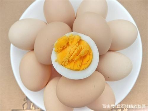 宠物饲养知识分享狗狗吃啥能增大骨架，大型犬吃什么长骨架