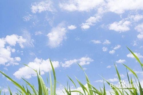 十首诗词，缓解压力，放松心情……