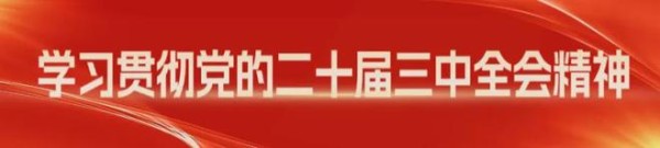 打造家门口的“环保课堂” 天津滨海高新区华苑低碳公园开园