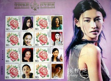 电影推荐：国内影星推荐的电影有哪些（中国明星电影）