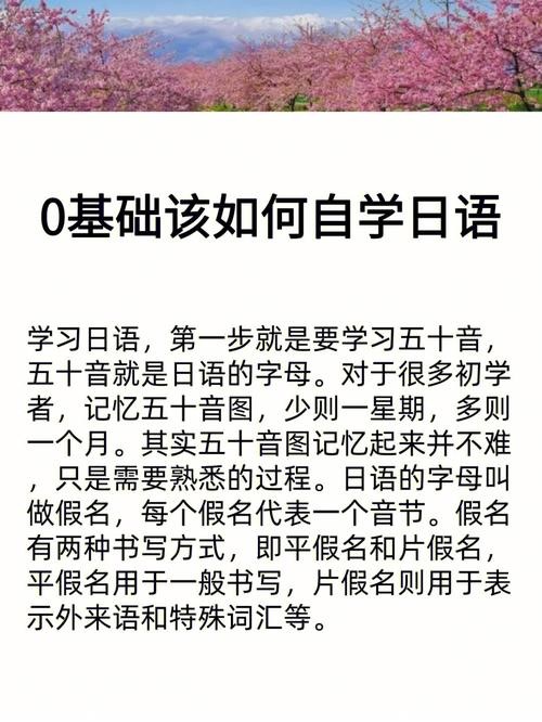 高效自学指南，解锁自我提升之道-图1