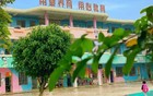 广东一地城区16所幼儿园停办，其中还有公办幼儿园