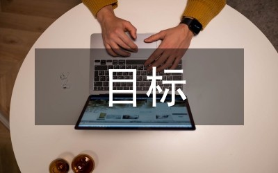 设定目标