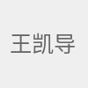 王凯导演