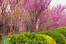 春季养生需注意什么？春季养生宜分三个时间段
