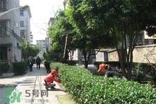 春季养生需注意什么？春季养生宜分三个时间段