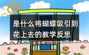 是什么将蝴蝶吸引到花上去的教学反思