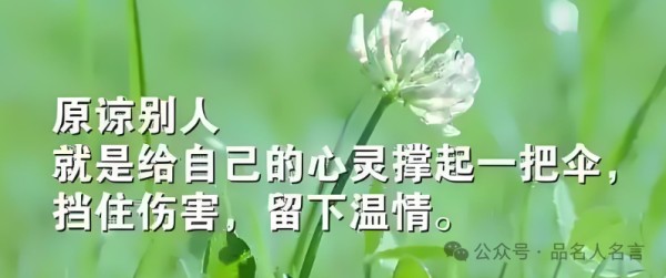 人生感悟经典句子大全，句句都是人生的智慧，引人深思！