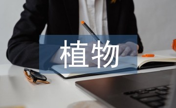 园林绿化植物种植及养护管理研究