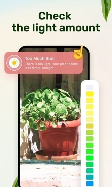 植物养护指南2