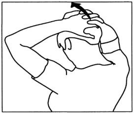 image009.png