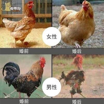 笑死人的搞笑段子