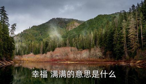  幸福 满满的意思是什么