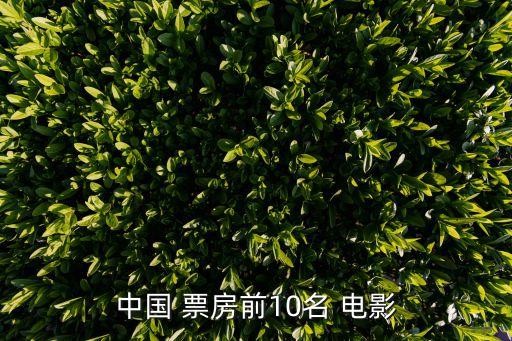 中国 票房前10名 电影