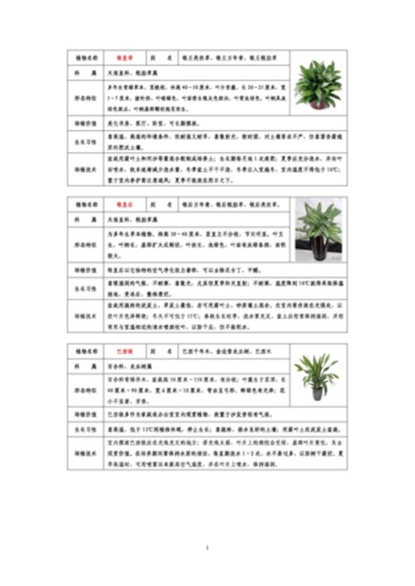 养植物的小知识；植物养护基本知识