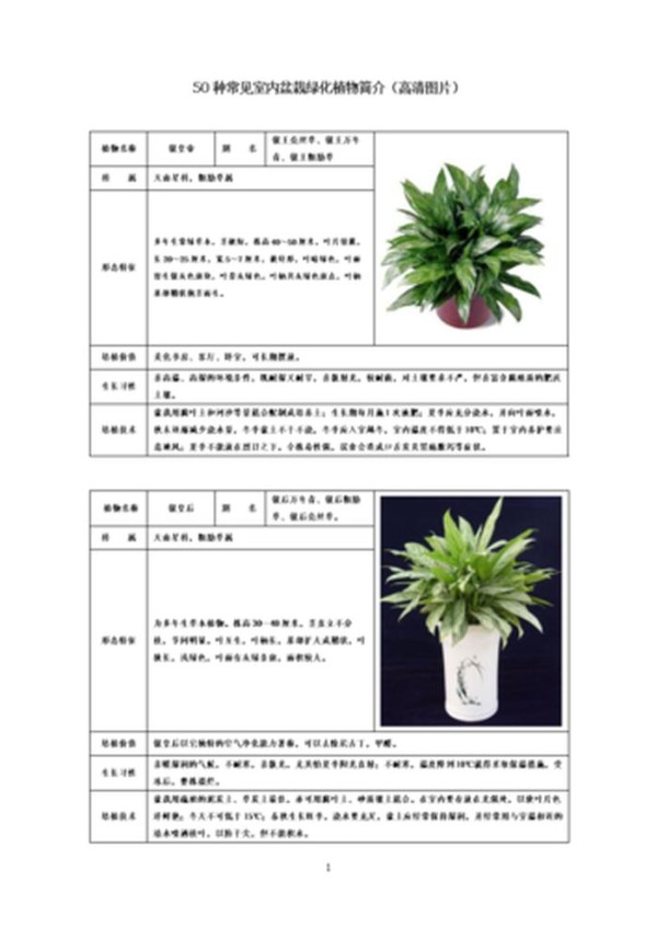 常见花卉养护知识大全视频 植物养护知识
