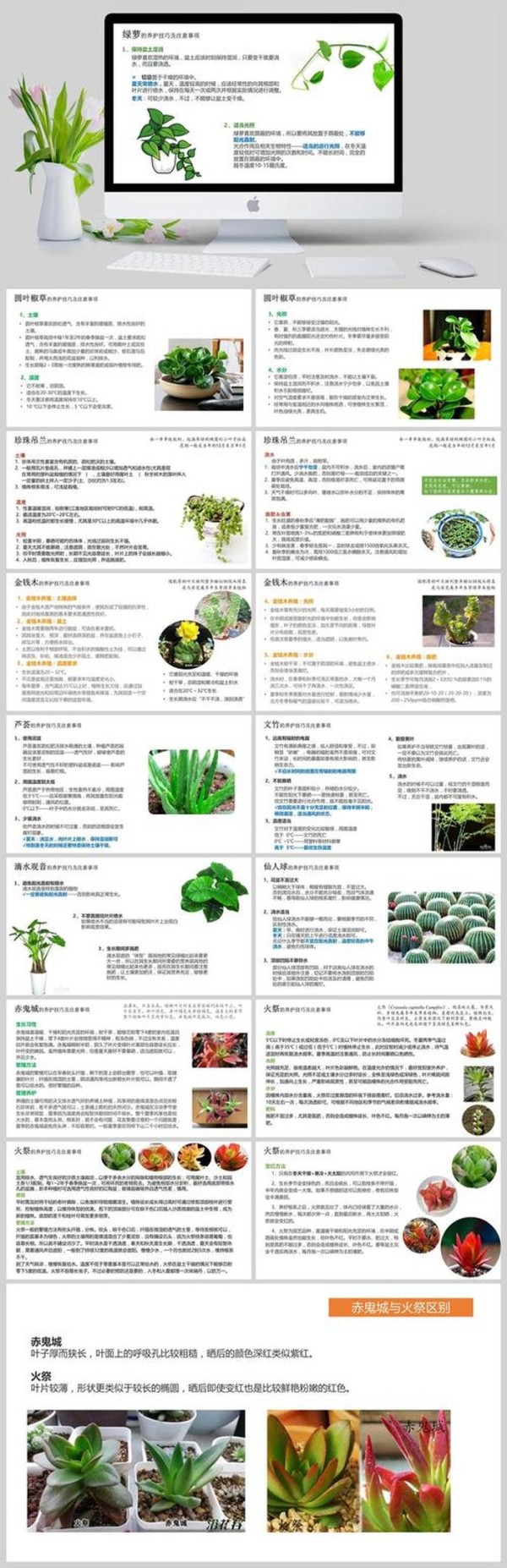 养植物的小知识；植物养护基本知识