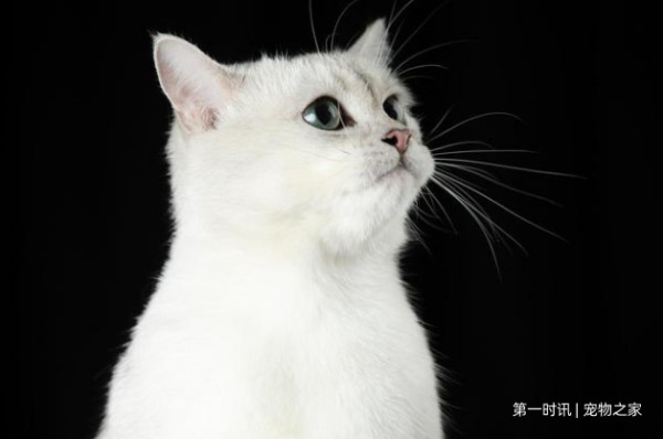 QQ截图20220810150151.png
