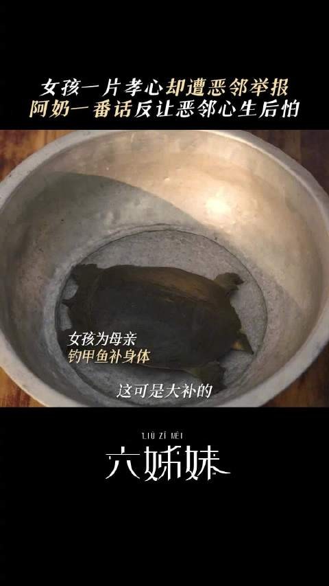 阿奶霸气展示什么叫兔子急了还咬人呢！每晚19:30锁定北京卫视品质剧场