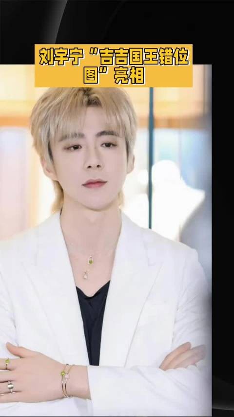 刘宇宁错位图像吉吉国王?真相藏着啥笑点? #刘宇宁