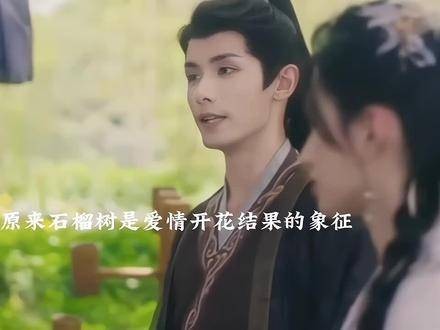 赫连曦知凤鸢欲取性命仍信其非真心,石榴树象征幸福向往