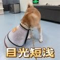 一小时 1500 元！现在的游戏陪玩，这么挣钱吗？ 电竞圈的“钞能力”