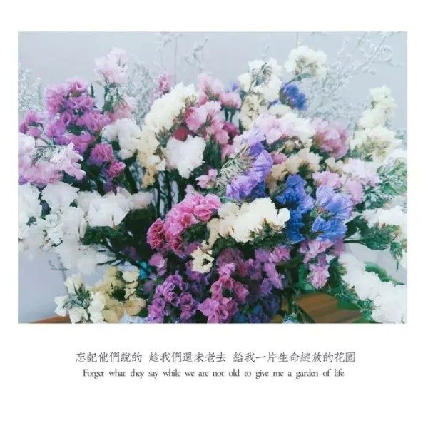 Resize,w 360,h 240